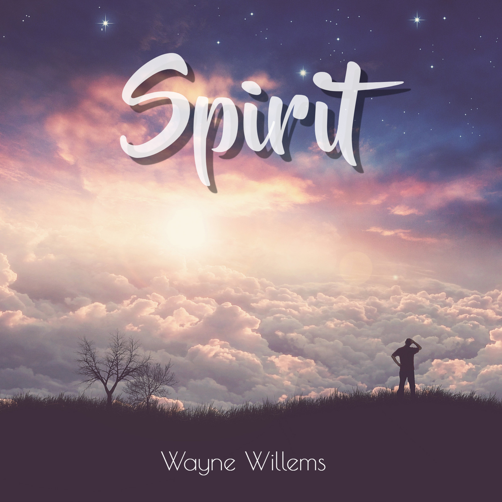 Spirit Album by Wayne Willems